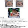 Bike Hand YC-501A/YC-126-2A Set Shimano (Lock Ring) Sprocket Attachment/Removal Set view 2