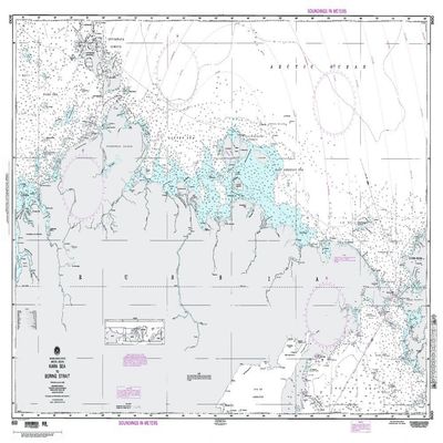 Paradise Cay Publications NGA Chart 800: Russia United States Artic Ocean Kara Sea to Bering Strait (Traditional Paper) 37 x 56
