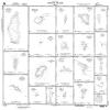 Paradise Cay Publications NGA Chart 81133: Pulap Atollcaroline Islands (Traditional Paper) 34.75 x 44 view 1