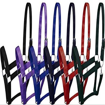 Draft Horse Size Nylon Halter. Both Nylon and Hardware are 1.5