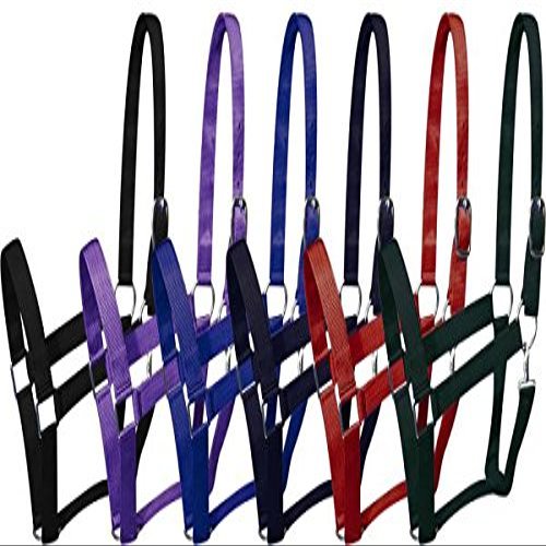 Draft Horse Size Nylon Halter. Both Nylon and Hardware are 1.5