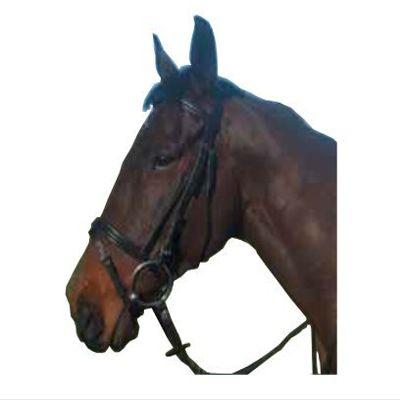 Cameo Padded Flash Bridle - Full, Brown