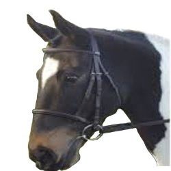 William Hunter Equestrian GFS Show Bridle - Full, Black