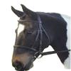 William Hunter Equestrian GFS Show Bridle - Full, Black view 1