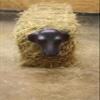 AC Calf Head with Hay Bale Spikes view 1
