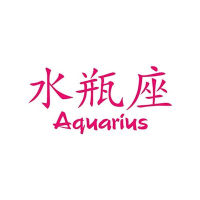 Chinese Symbols "Aquarius" Vinyl Decal Sticker 8" x 3.75" - Hot Pink