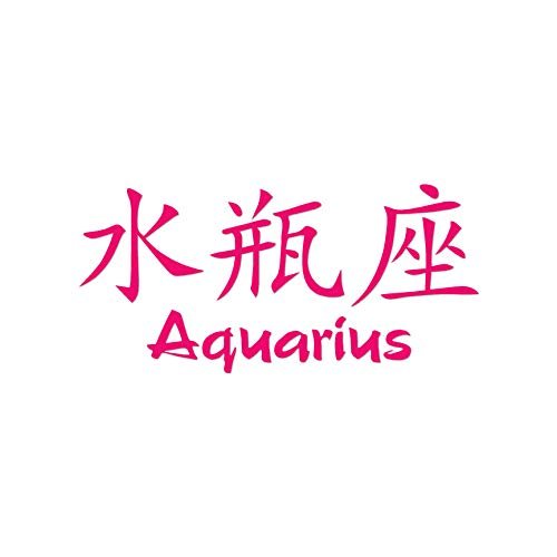 Chinese Symbols "Aquarius" Vinyl Decal Sticker 8" x 3.75" - Hot Pink