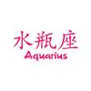 Chinese Symbols "Aquarius" Vinyl Decal Sticker 8" x 3.75" - Hot Pink view 1