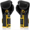 Fairtex Muay Thai Boxing Gloves BGV9 - Heavy Hitter Mexican Style Training & Sparring Gloves for Kick Boxing MMA K1 (Black/Yellow Piping, 12 oz) view 2