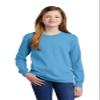Port & Company Youth Long Sleeve Core Cotton Tee XL Aquatic Blue view 1