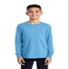 Port & Company Youth Long Sleeve Core Cotton Tee XL Aquatic Blue view 3