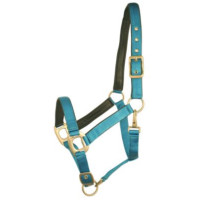 Gatsby Leather Pad Nylon Halter Horse Blueberry