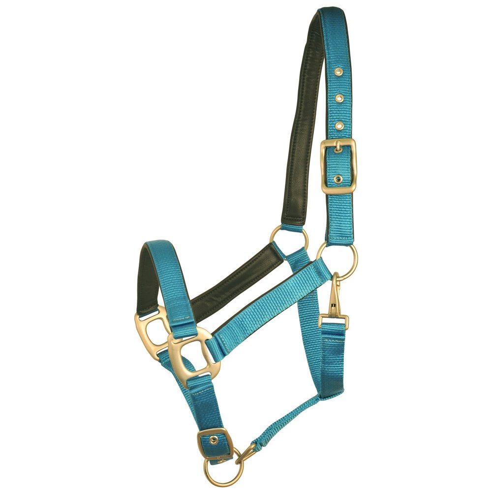 Gatsby Leather Pad Nylon Halter Horse Blueberry