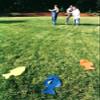 Ironwood Pacific Backyard Bass Casting Game for Teaching Kids to cast |Angler Educator Set Includes 16 Fish and 20 Casting Plugs view 2