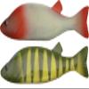K & E 8" Spearing Decoy 2-Pack - Perch - S-40 and S-43 view 1