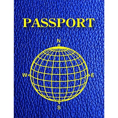 ASHLEY PRODUCTIONS BLANK PASSPORTS PACK OF 12 (Set of 6)