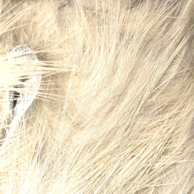 Hareline Fly Tying Crosscut Rabbit Strips - Flesh