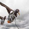 DEADLY DECOYS 4 Foot Flyer Pole Kit view 4