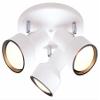Angelo Brothers 66326 Three-Light Multi-Directional Ceiling Fixture view 1