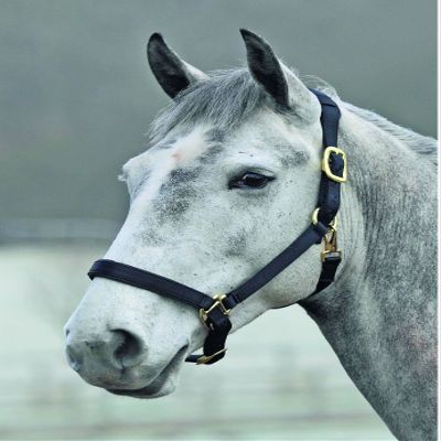 Shires Topaz Nylon Halter with BREAEKAWAY (Black, X-Full)