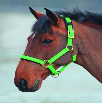 Shires Topaz Nylon Halter with BREAEKAWAY (Green, X-Full)