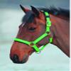 Shires Topaz Nylon Halter with BREAEKAWAY (Green, X-Full) view 1