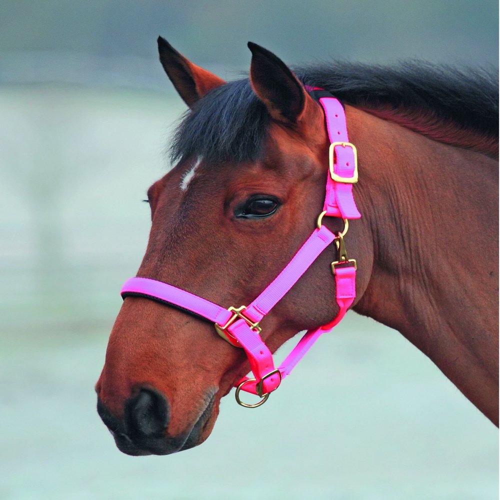 Shires Topaz Nylon Halter with BREAEKAWAY (Pink, X-Full)