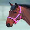 Shires Topaz Nylon Halter with BREAEKAWAY (Pink, X-Full) view 1