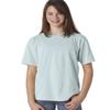 Garment-Dyed Ring-Spun Cotton Tee (C9018) Chambray, M view 1