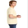 6.1 oz. Ringspun Garment-Dyed T-Shirt (C1717) Ivory, XL view 3