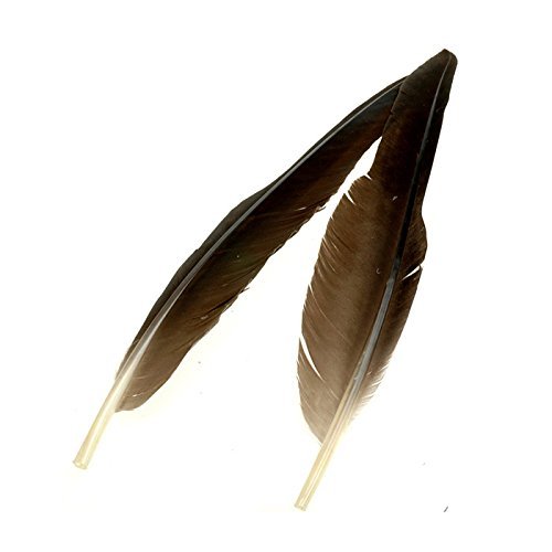 OFT Feather Goose Quill, Yellow