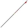Gold Tip Hunter Arrows with Raptor Vane (Pack of 6), Black, 340 view 2