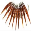 Hayashi Fishing Equipment Seisakusho, 50 Pieces, TOSA Kabura, Brown Leather, Horse Mackerel Mold, Metal Needles, No. 13 view 1