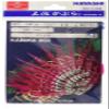 Hayashi Fishing Equipment Seisakusho, 50 Pieces, TOSA Kabura, Pink Leather, Horse Mackerel Mold, No. 13 view 2