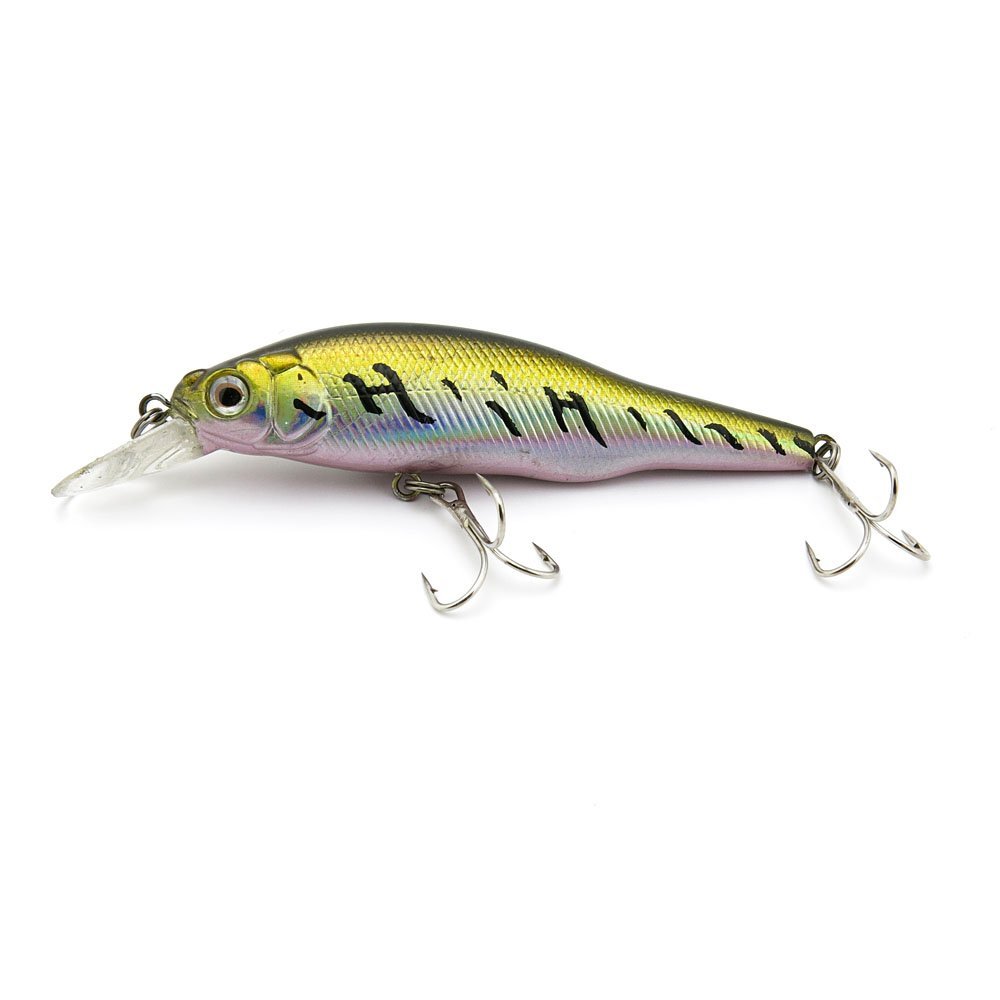 10x Freshwater Saltwater Coarse Sea Crank Trout illex Swimbait Fishing Lures Crankbait Baits peche leurres RG-100-07 100mm 10g Minnow