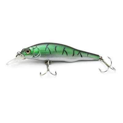 10x Freshwater Saltwater Coarse Sea Crank Trout illex Swimbait Hard Fishing Lures Crankbait Baits peche leurres RG-100-09 100mm 10g Minnow