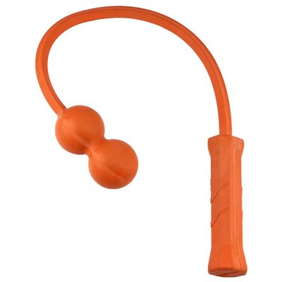 The Total Serve 2-Ball ServeMaster: Serve Tool and Swing Trainer for Tennis Training