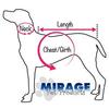 Pets First NBA Licensed Hoodies & T-shirt for Dogs & Cats, Clevel& Cavaliers, Large view 2