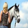 Hunters Saddlery Horse Rope Halters - 11 Sizes - Miniature, Foal, Weanling, Pony, Cob/Arab, Horse, Warmblood, Draft & Custom (Warmblood, Red) view 3