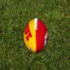 Rawlings NFL Gridiron Junior-Size Youth Football, Las Vegas Raiders , Black view 2