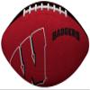 NCAA Gridiron Junior-Size Youth Football, Wisconsin Badgers view 1