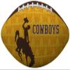 Rawlings NCAA Gridiron Junior Size Football, Wyoming Cowboys, Team Colors, One Size view 1