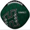 Rawlings NCAA Gridiron Junior Size Football, University of Hawaii view 1