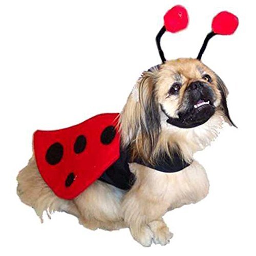 DOGGIE DESIGN Lady Bug Winged Costume Set with Headpiece and Matching Leash for Dogs Size X-Small (Chest: 10"-13", Neck: 7"-10", Pets Weighing: 3-5 Lbs.)