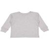 RABBIT SKINS Toddler 100% Cotton Fine Jersey Long Sleeve Tee, Heather, 3T view 1