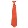 Tuxedo Park Coral Satin Boys Pre-Tied Neck Tie view 1