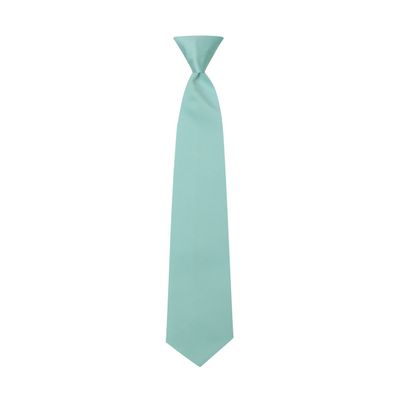 Tuxedo Park Robin's Egg Blue Satin Mens Pre-Tied Neck Tie