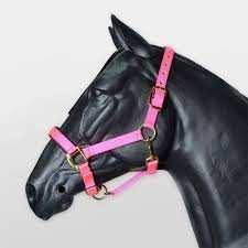 Hy Grand Prix Head Collar - Chocolate - Pony