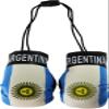 Argentina - Novelty Mini Boxing Gloves with Black Snap Connection view 1