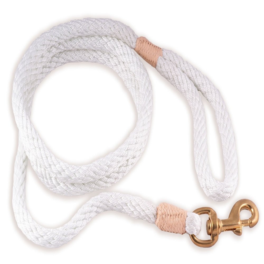 Alvalley Snap Dog Leash - Snap Style Nylon Leash for Dogs - Easy to Handle - Perfect for Small, Medium, Large and Extra Large Dogs - Suitable for Training & Walking